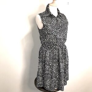AED London Black & Cream Animal Print Chiffon Mini Dress - Size Small